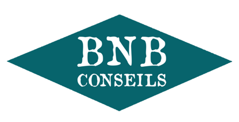 Logo Losange vert de BNB CONSEILS